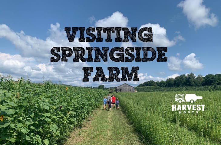 Visiting Springside Farm