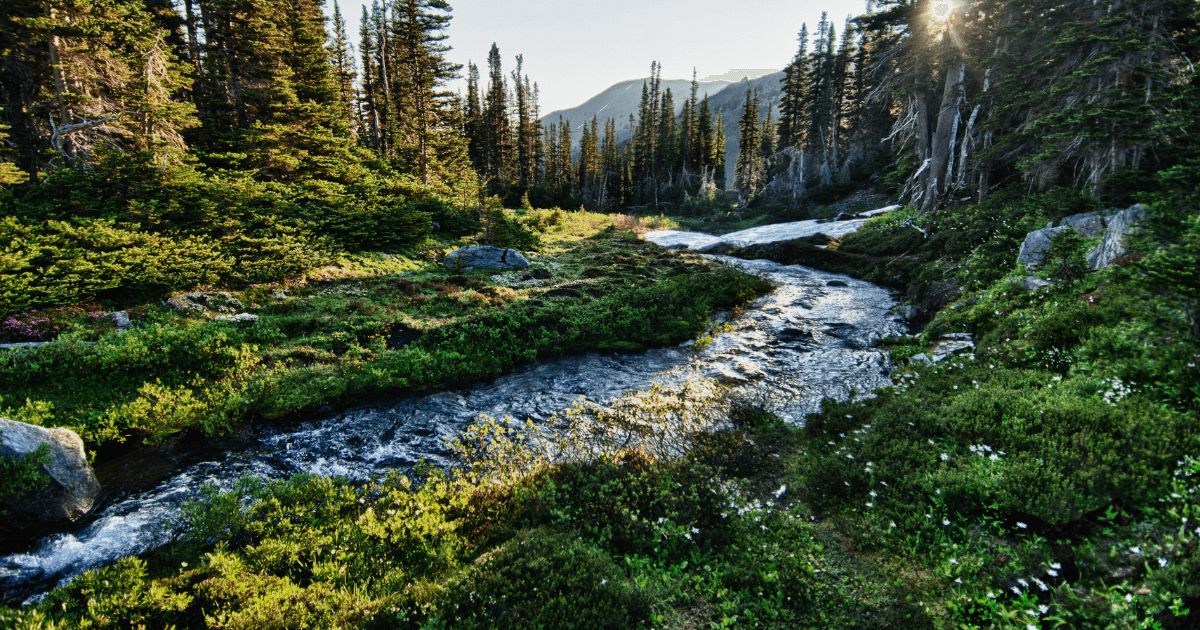 Your Ultimate Guide to RV Campgrounds in Washington