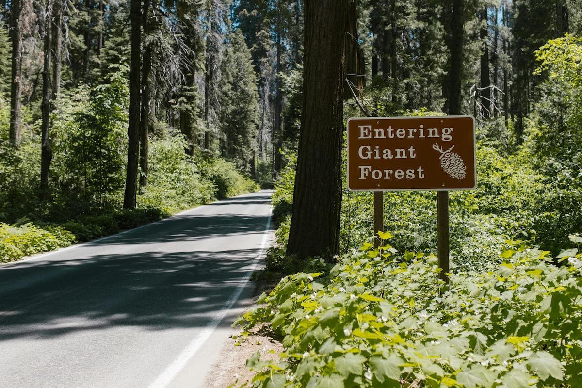 Sequoia National Park