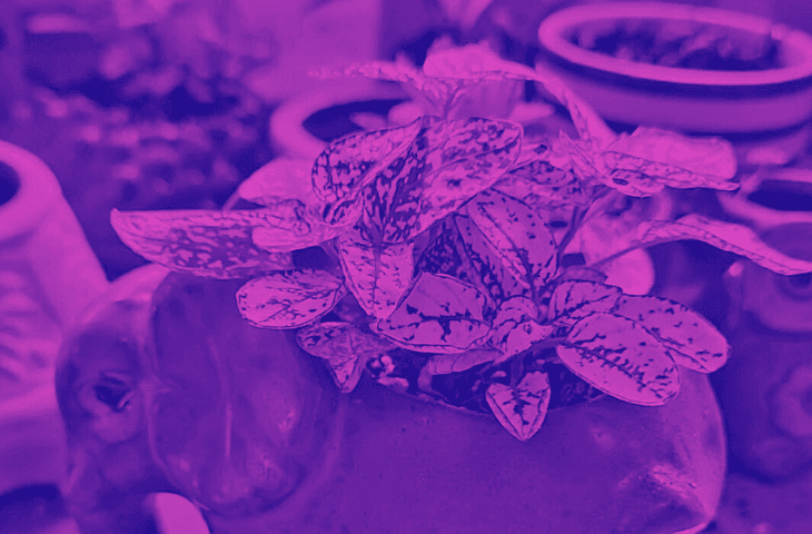 Visiting Rhythmic Medicine (+ Recipe From the Road)