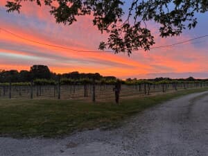 Award-Winning Century Farm Winery