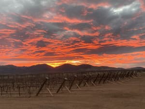 Boutique Desert Winery Retreat