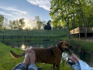 Scenic Family Vineyard Retreat
