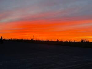 Scenic Seneca Lake Vineyard Winery