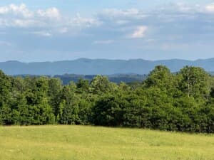 Blue Ridge Mountain Vineyard Retreat