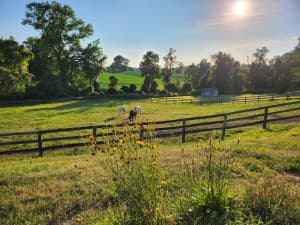 Tranquil Family Farm Retreat