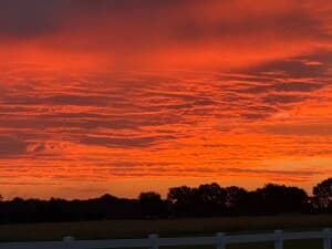 Scenic Animal Sanctuary Farm Retreat