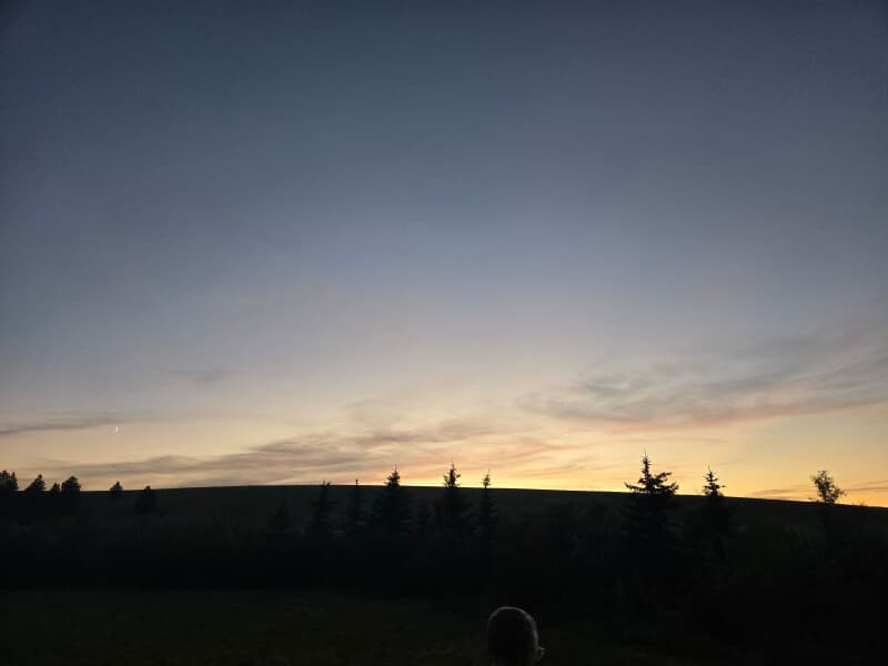 Farm stay at Quaint Berry Orchard Farm Retreat