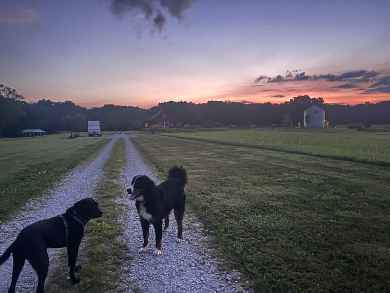 Farm stay at Seasonal Farm Retreat & Christmas Tree Farm
