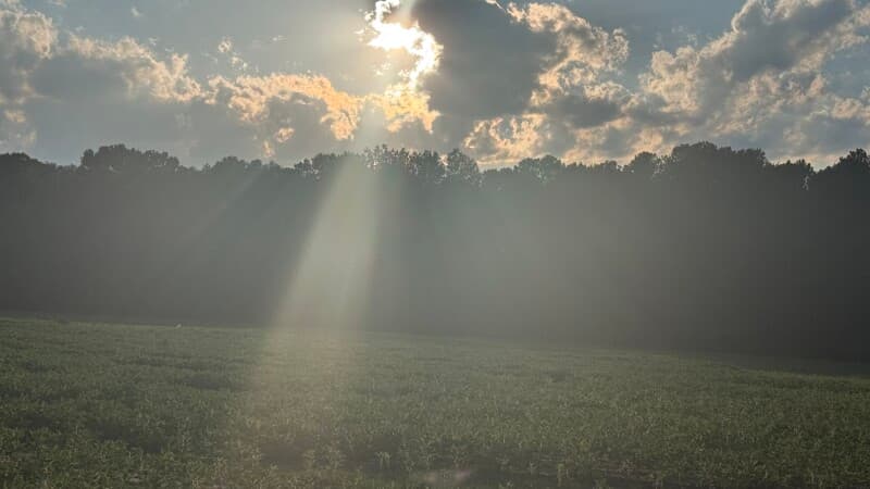 Farm stay at Veteran-Owned Honey Farm Retreat