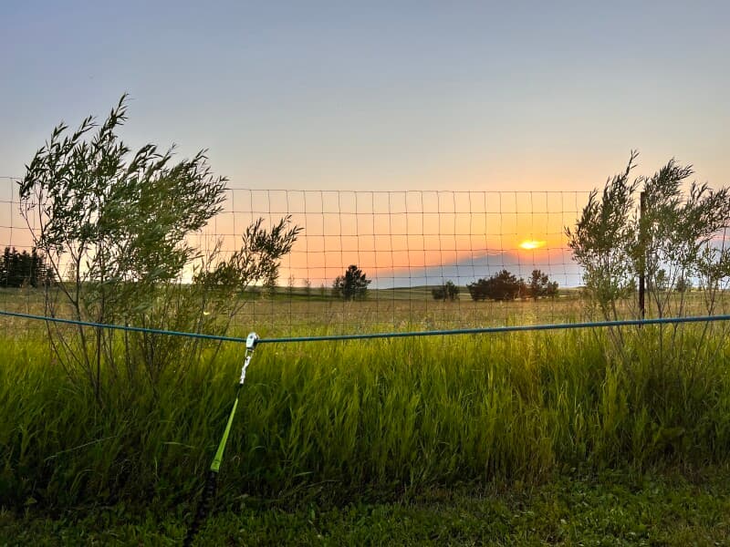 Winery stay at Historic Saskatoon Berry Farm & Winery