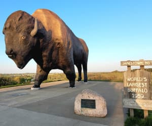 Bison Discovery Museum & Wildlife Stop