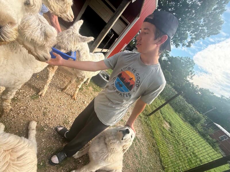 Farm stay at Serene Alpaca Ranch Retreat