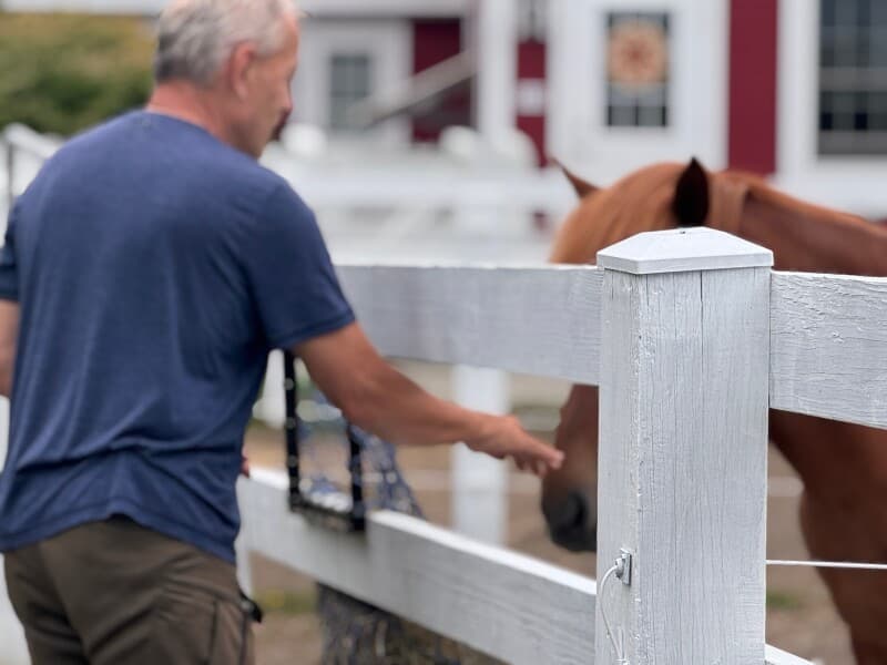 Farm stay at Coastal Equestrian Farm Retreat