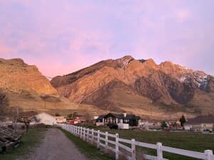 Scenic Alpaca Farm Retreat