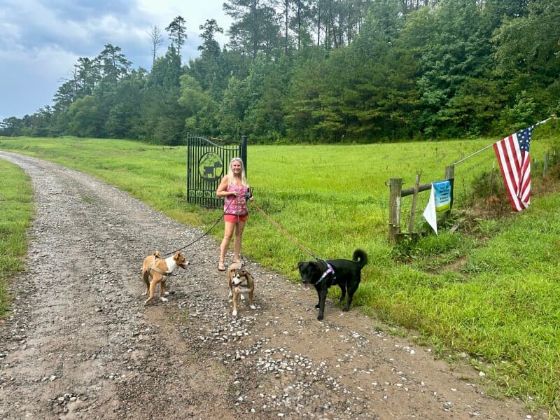 Farm stay at Family-Run Cattle & Sheep Farm