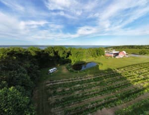 Scenic Ridge Estate Winery