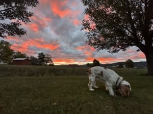 Mountain Cider & Spirits Retreat