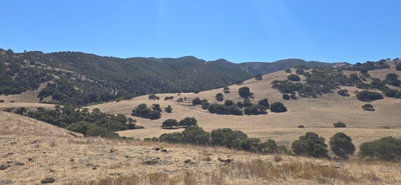 Farm stay at Hillside Olive Mill Ranch Retreat