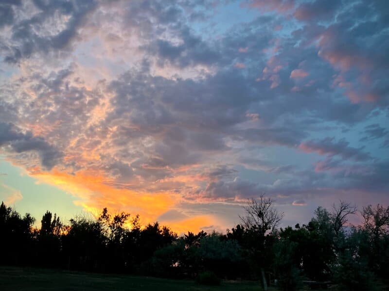 Winery stay at Boutique Mountain Vineyard Retreat