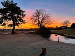 Golf Course & Bar Retreat