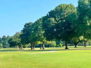 Scenic Mississippi Golf Course