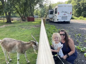 Charming Animal Rescue Farm Retreat