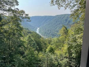 Woodland Brewery & Coffeehouse Retreat