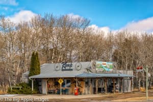 Alpaca Farm & Classic Car Retreat