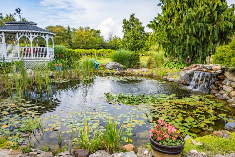 Winery stay at Scenic Family-Owned Winery & Vineyard