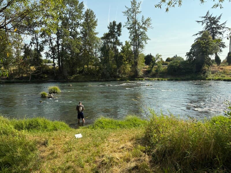 Farm stay at Organic Blueberry Farm & River Retreat