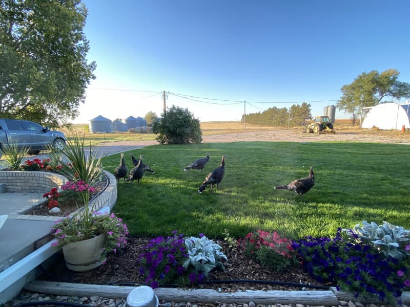 Secluded Countryside Farm Retreat