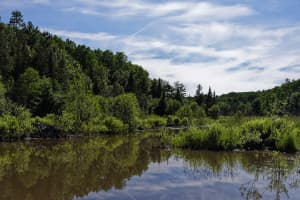 Rustic Northern Ontario Family Farm Stop