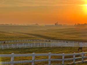 Champion Alpaca Farm Retreat