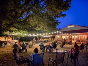 Award-Winning Champaign-Area Winery