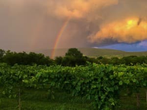 Boutique Farm Winery Retreat