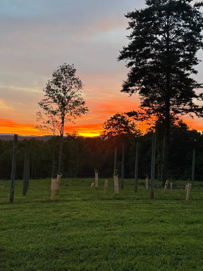 Winery stay at Blue Ridge Mountain Winery Retreat