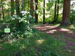 Quarry Campground in Wooded City Park