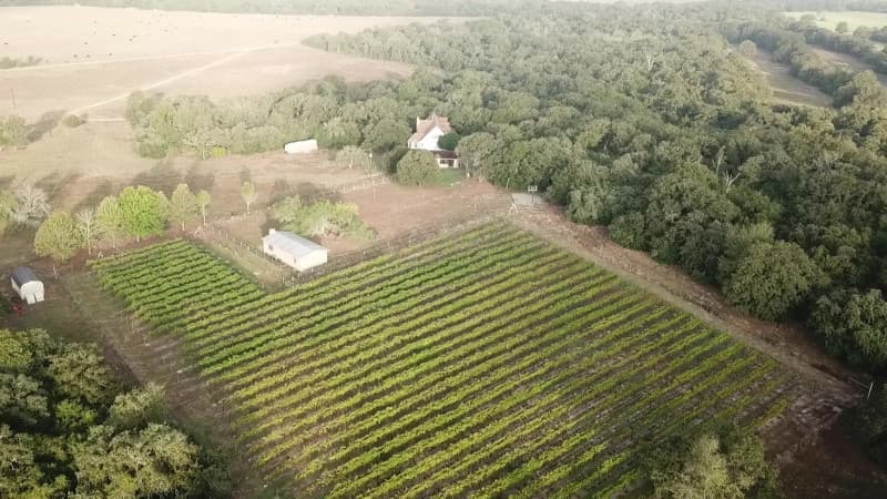 Cattle Ranch Vineyard Retreat