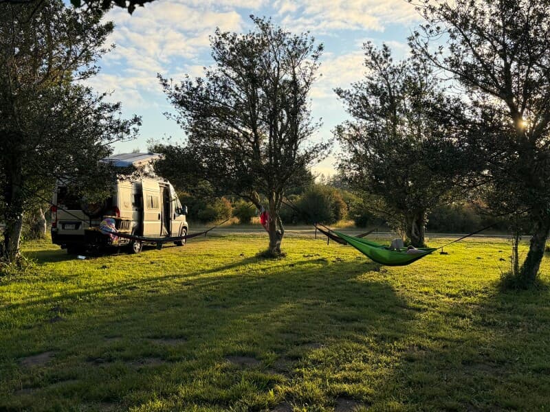 Farm stay at Historic Cranberry & Blueberry Farm Stay