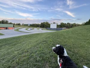 Nostalgic Drive-In Theater Retreat