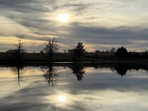 Serene Wildlife Refuge Retreat