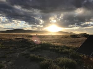 Organic Desert Farm Retreat