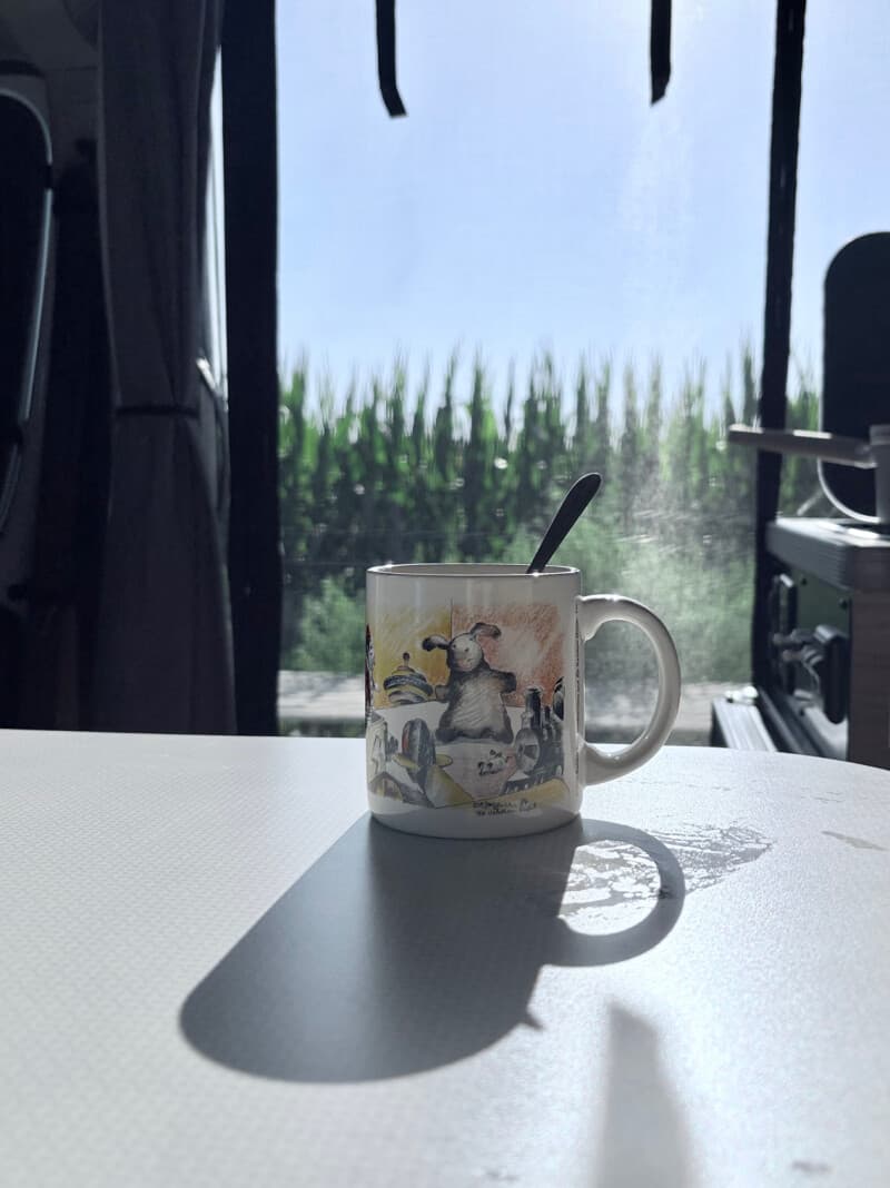 Farm stay at Charming Alpaca & Llama Farm