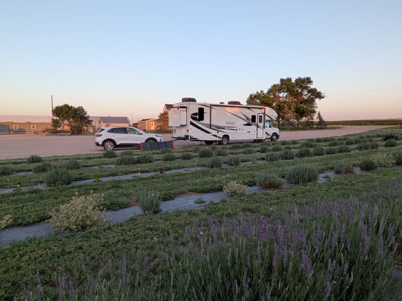 Farm stay at Organic Lavender Farm Retreat