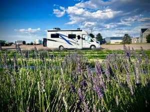 Organic Lavender Farm Retreat