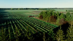 Idyllic U-Pick Berry & Poultry Farm