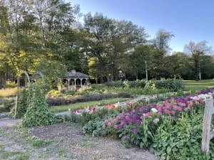 Family-Friendly Farm Market Retreat