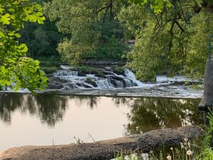 Charming Riverside Honey Farm
