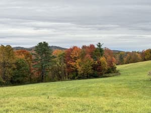 Historic Family Maple Syrup Farm